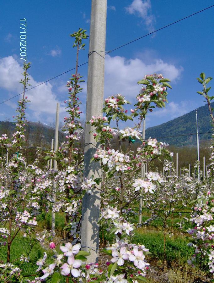 Agritur Affittacamere Capra Mauro Carzano  エクステリア 写真